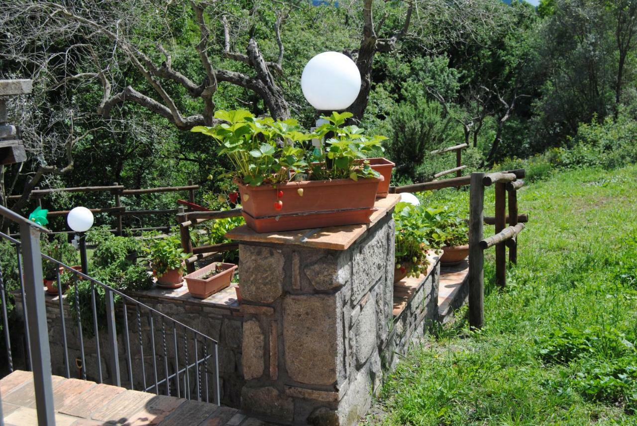 Villa Farfalla Bianca Vitorchiano Exterior foto